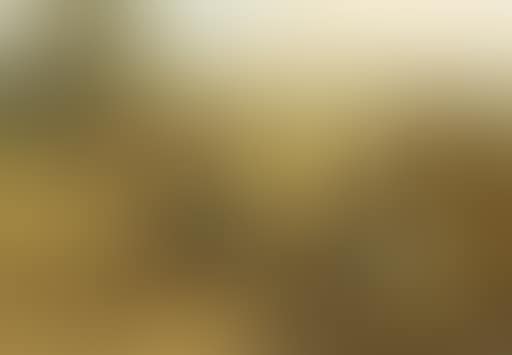 Gouter (preview)