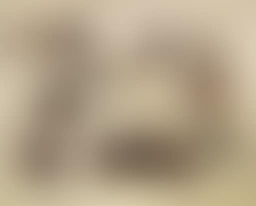 Study of kittens (preview)