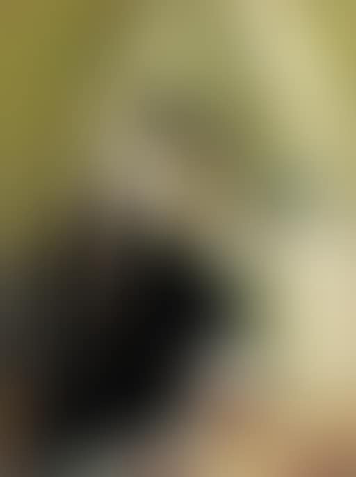 Vanity (preview)