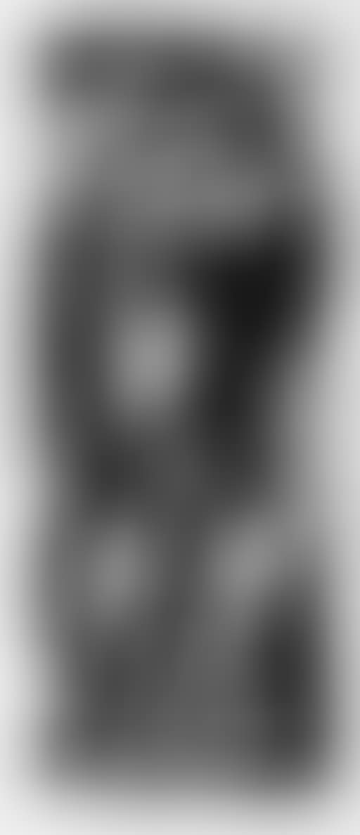 Trinkendes Pferd (preview)