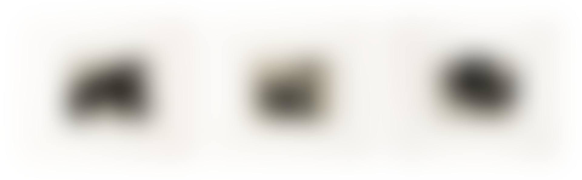 Octavia Paz Suite: three prints (preview)