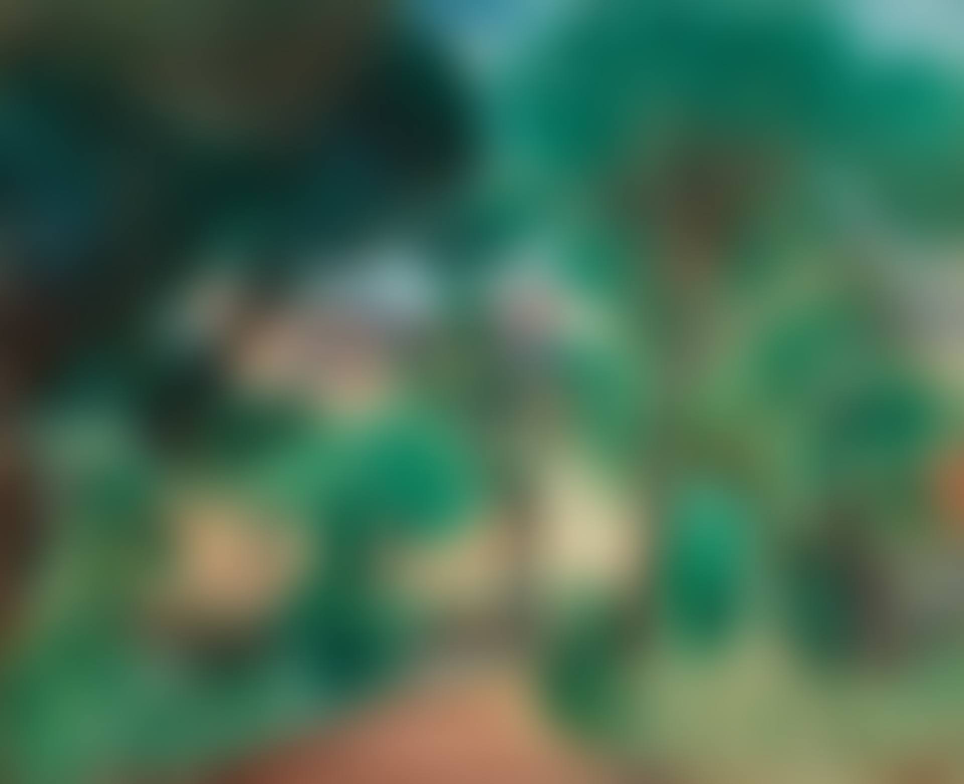Sous-bois en Provence (preview)