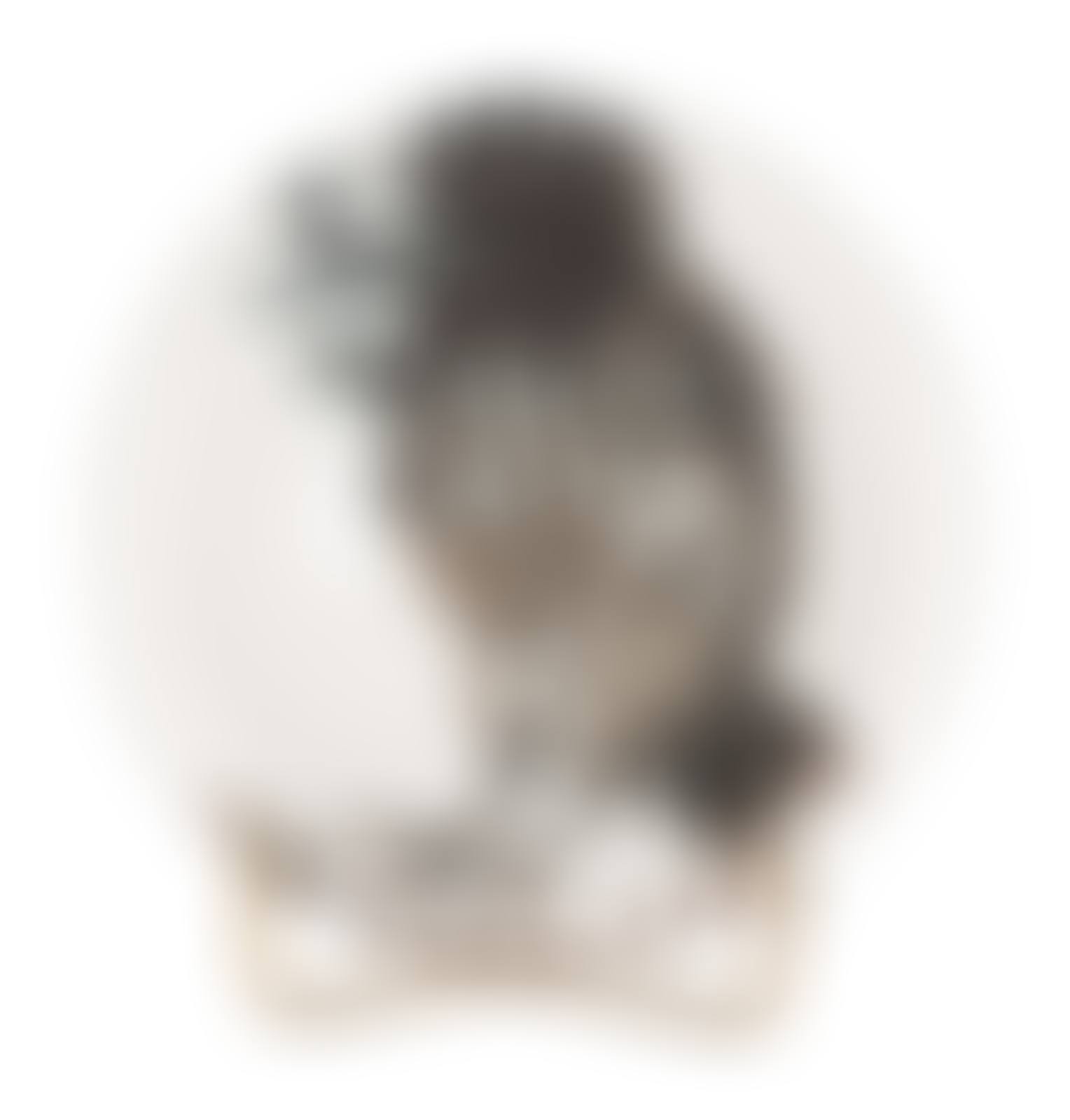 Oiseau au ver (preview)