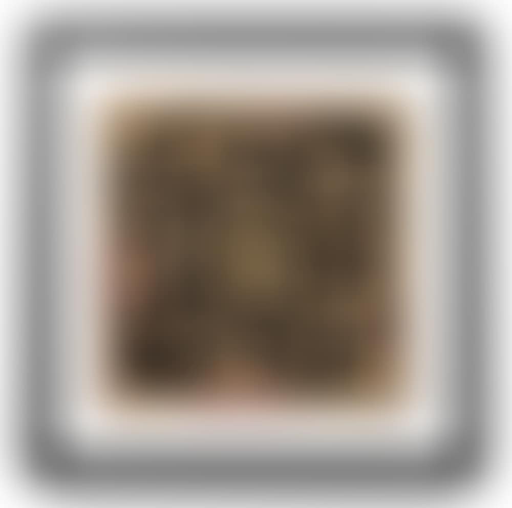 Obey Records (preview)