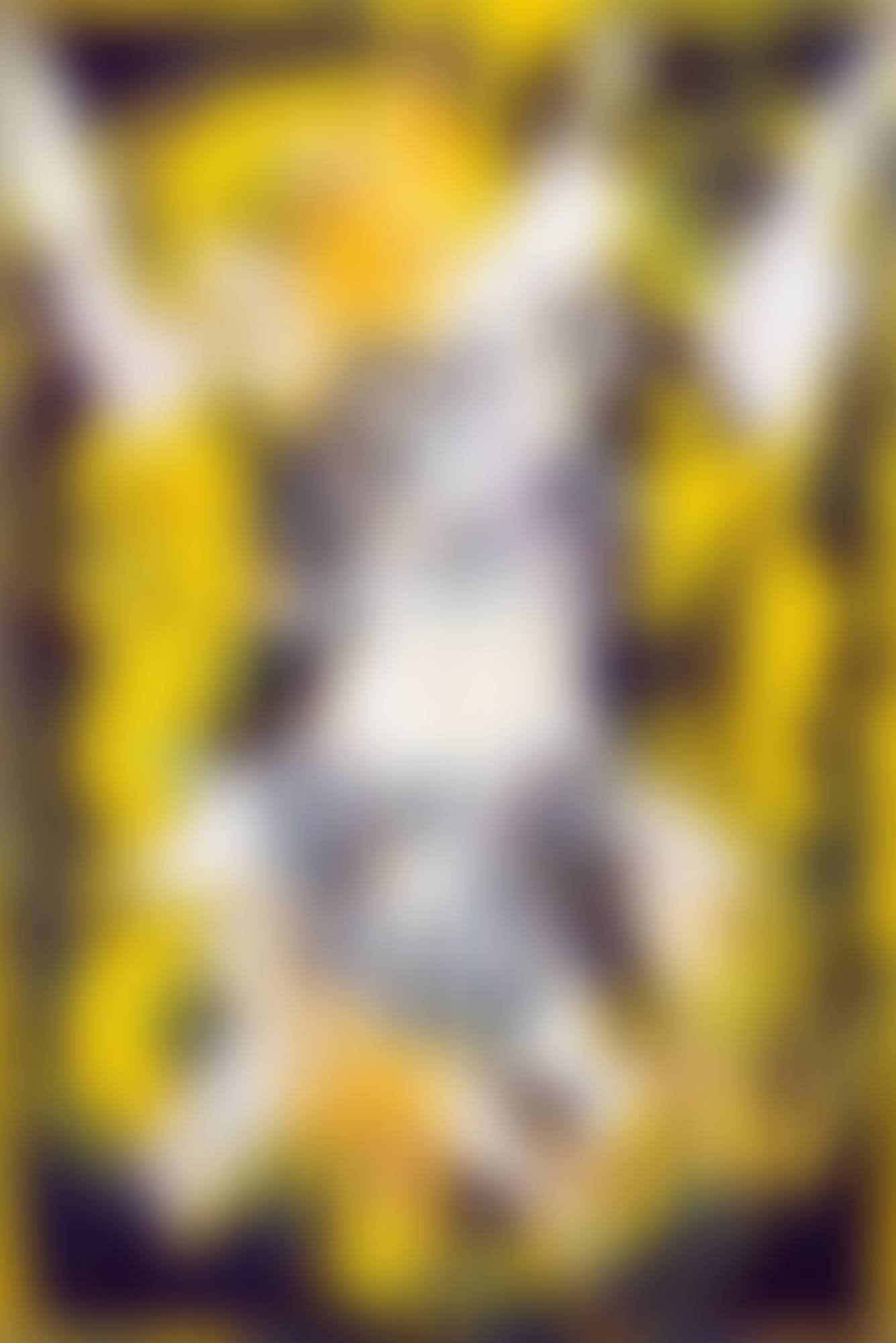 Figure de Venise (N°23) (preview)