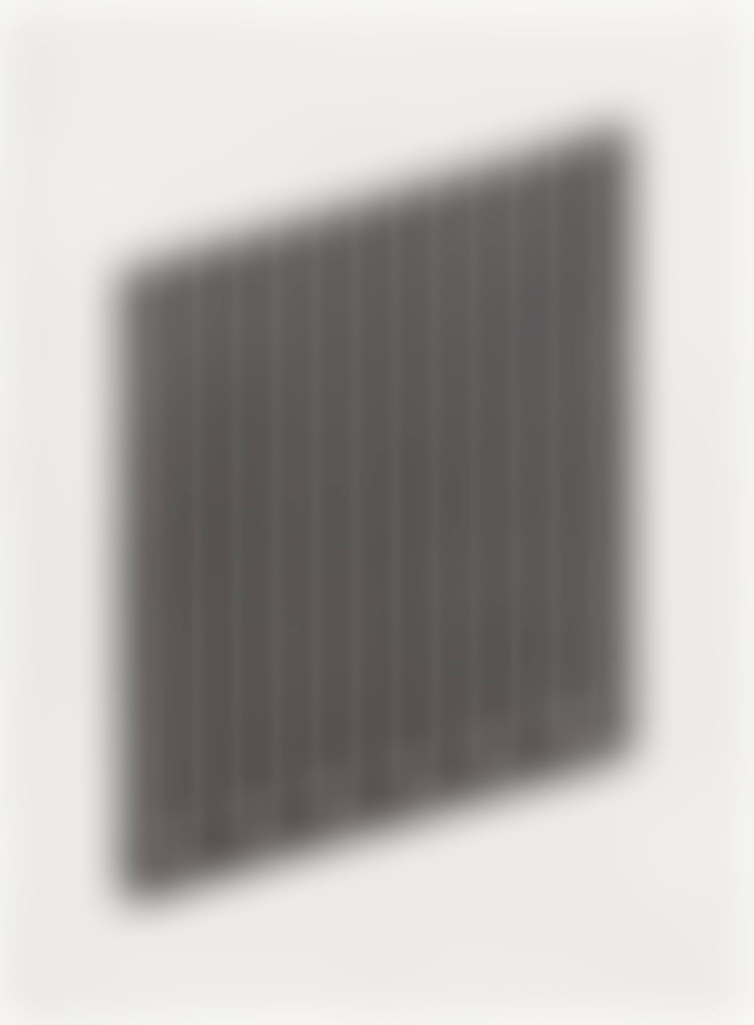 Untitled: one plate (S. 100) (preview)