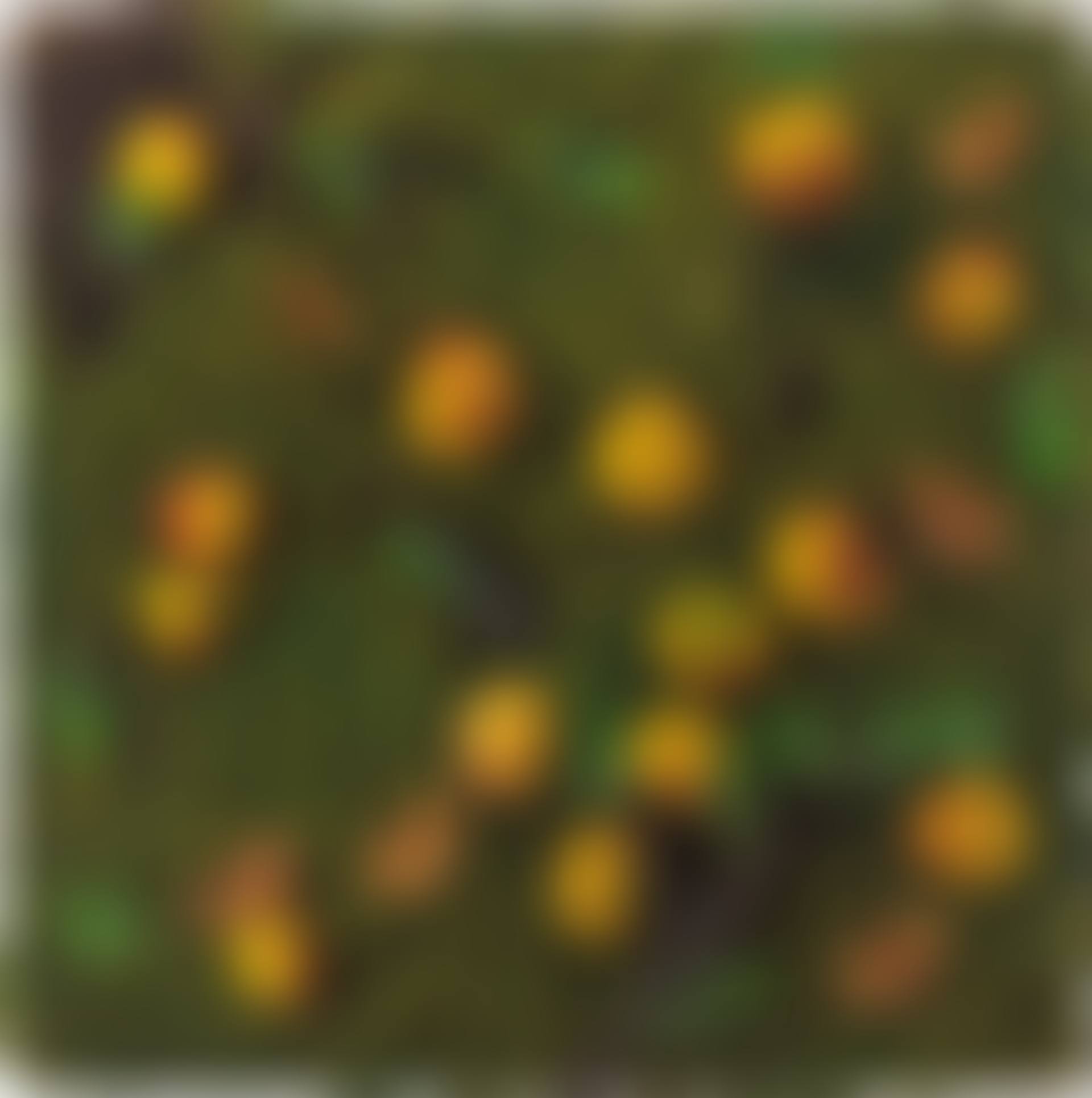 Pesche cadute (preview)