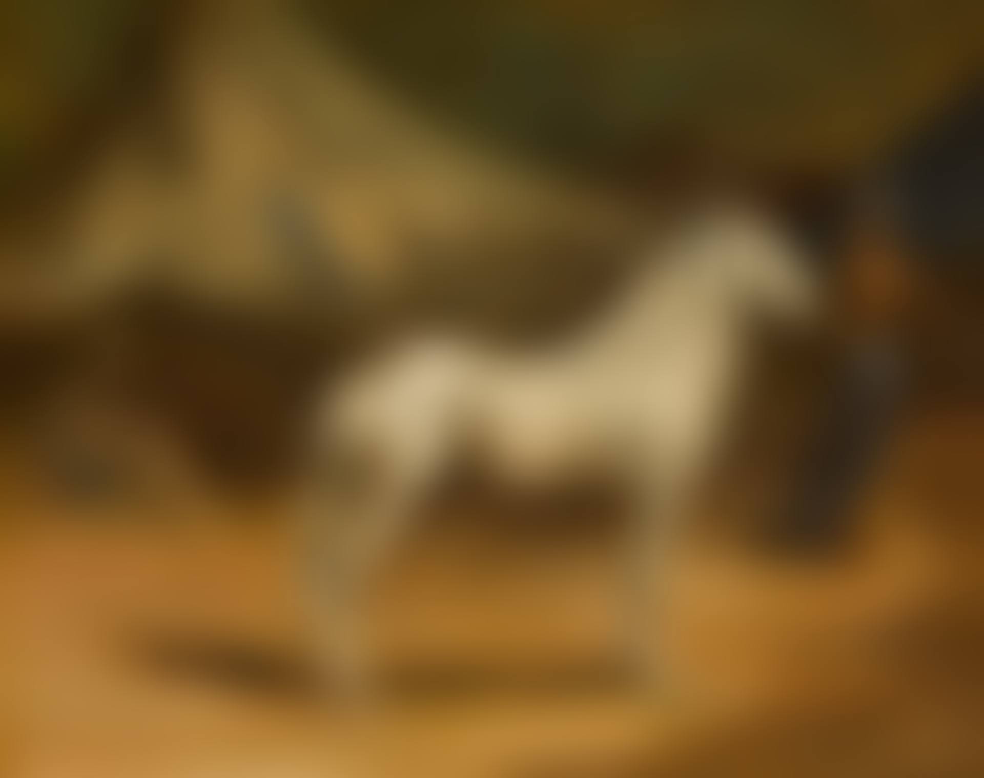 The Encampment (preview)