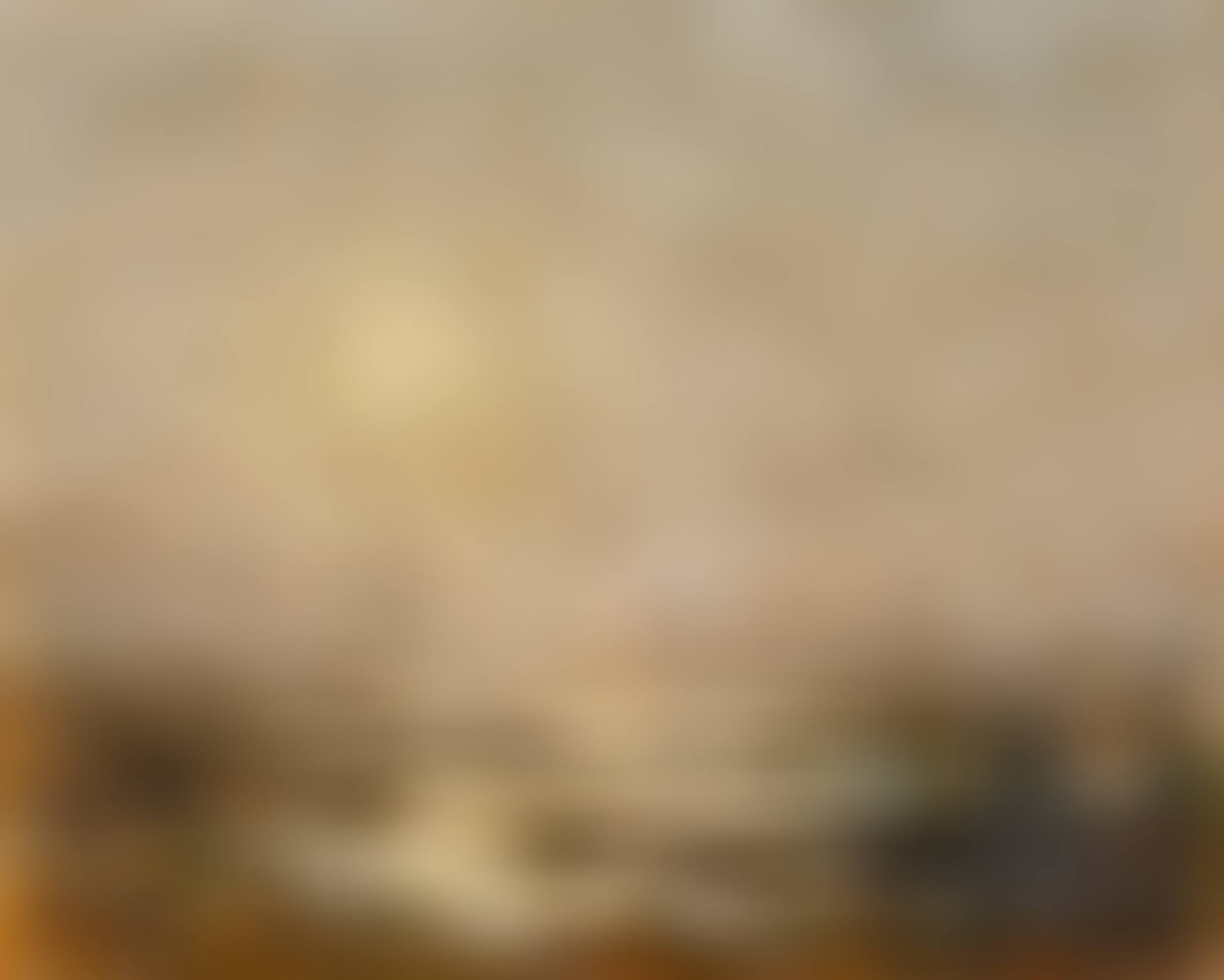 Coucher de soleil sur le marais fleur (preview)