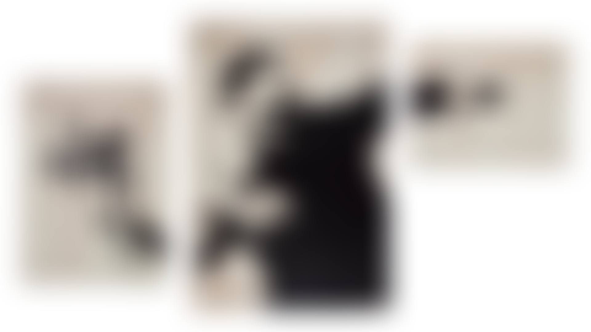 Flower Thrower Triptych (Grey) (preview)