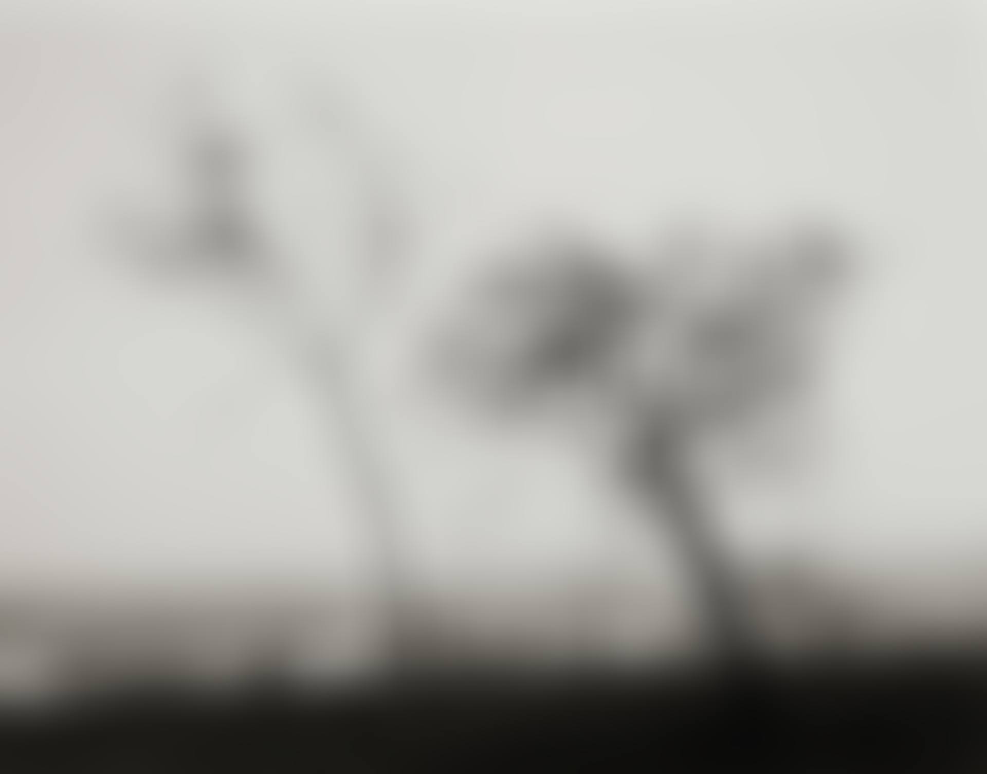 "Overlooking Long Beach, California" (On Signal Hill) (preview)