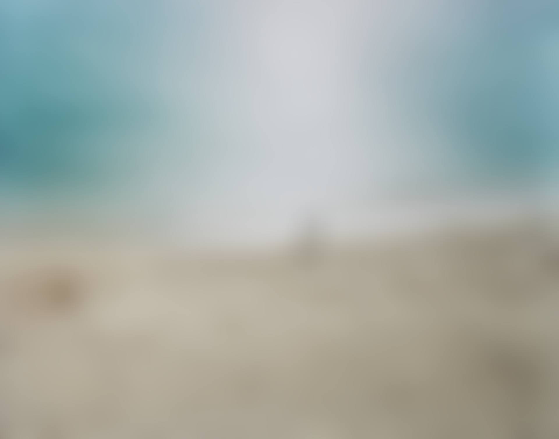 "Untitled, #213-04" (preview)