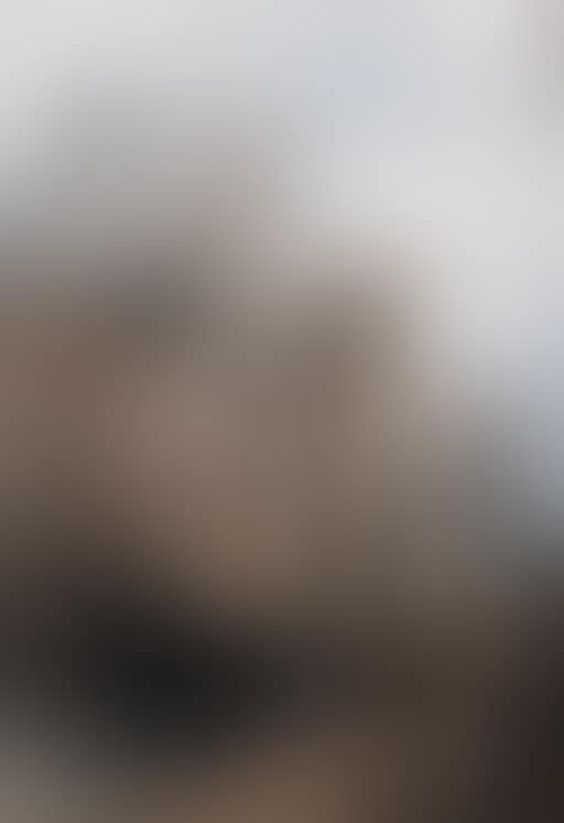 Mont St Michel (preview)