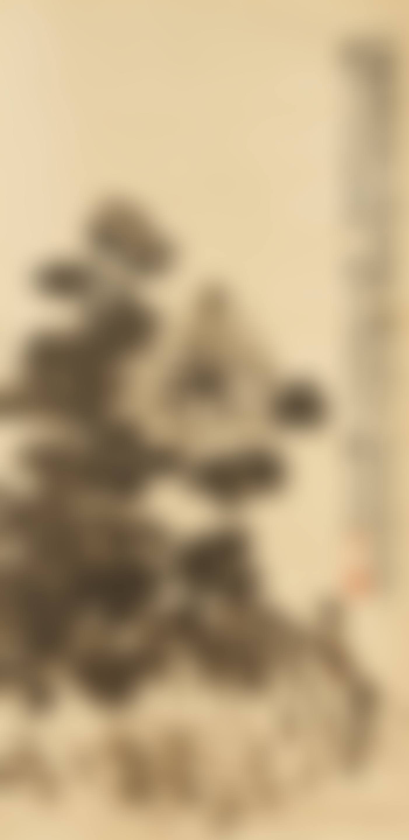 Chrysanthemum (preview)