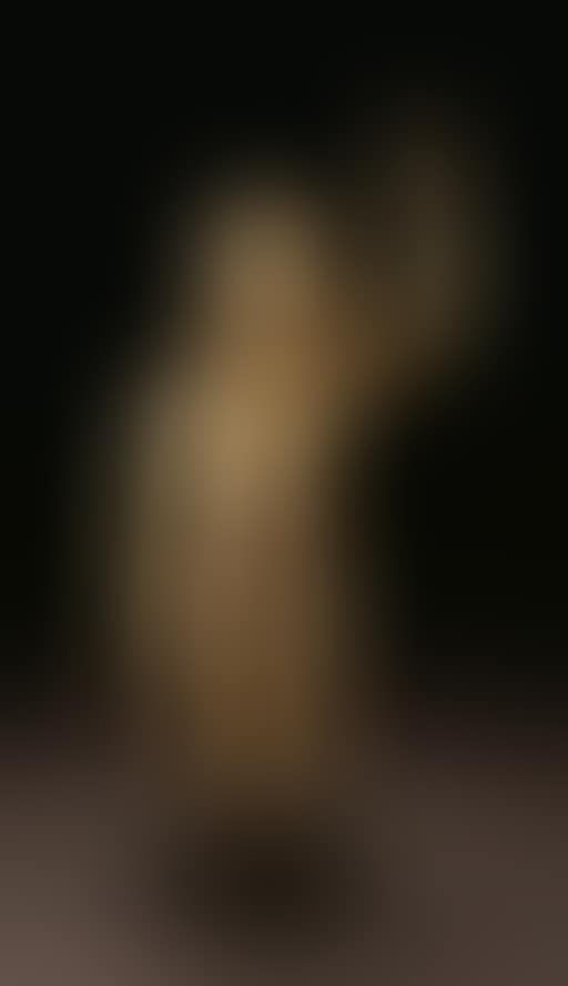 Figure of the Infant Buddha (preview)