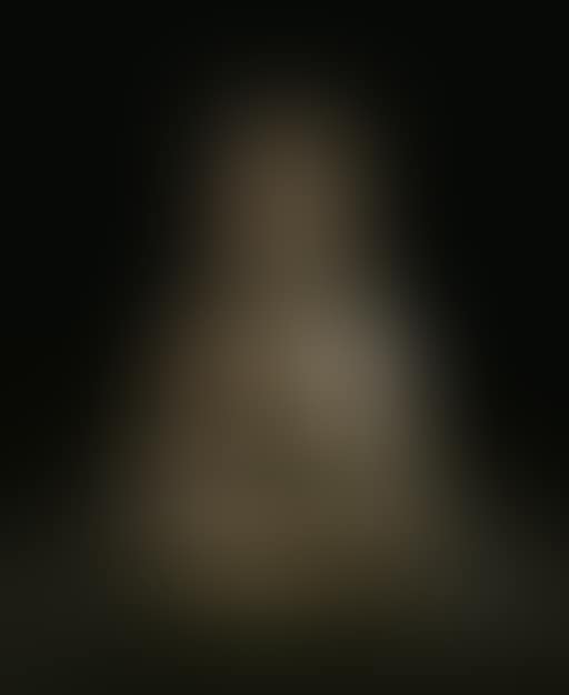 Figure of an esoteric Buddha (preview)