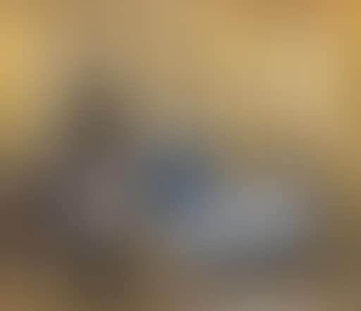 Nature morte (preview)