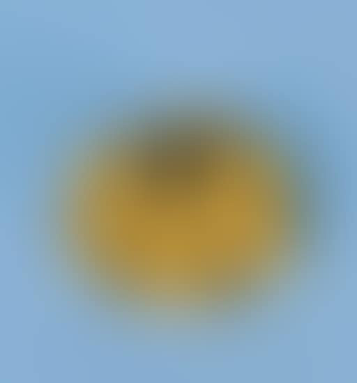 Pumpkin (preview)