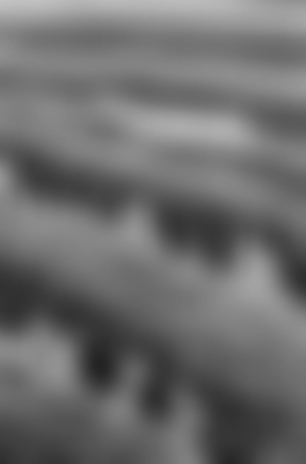 Jardin du Palais Royal (preview)