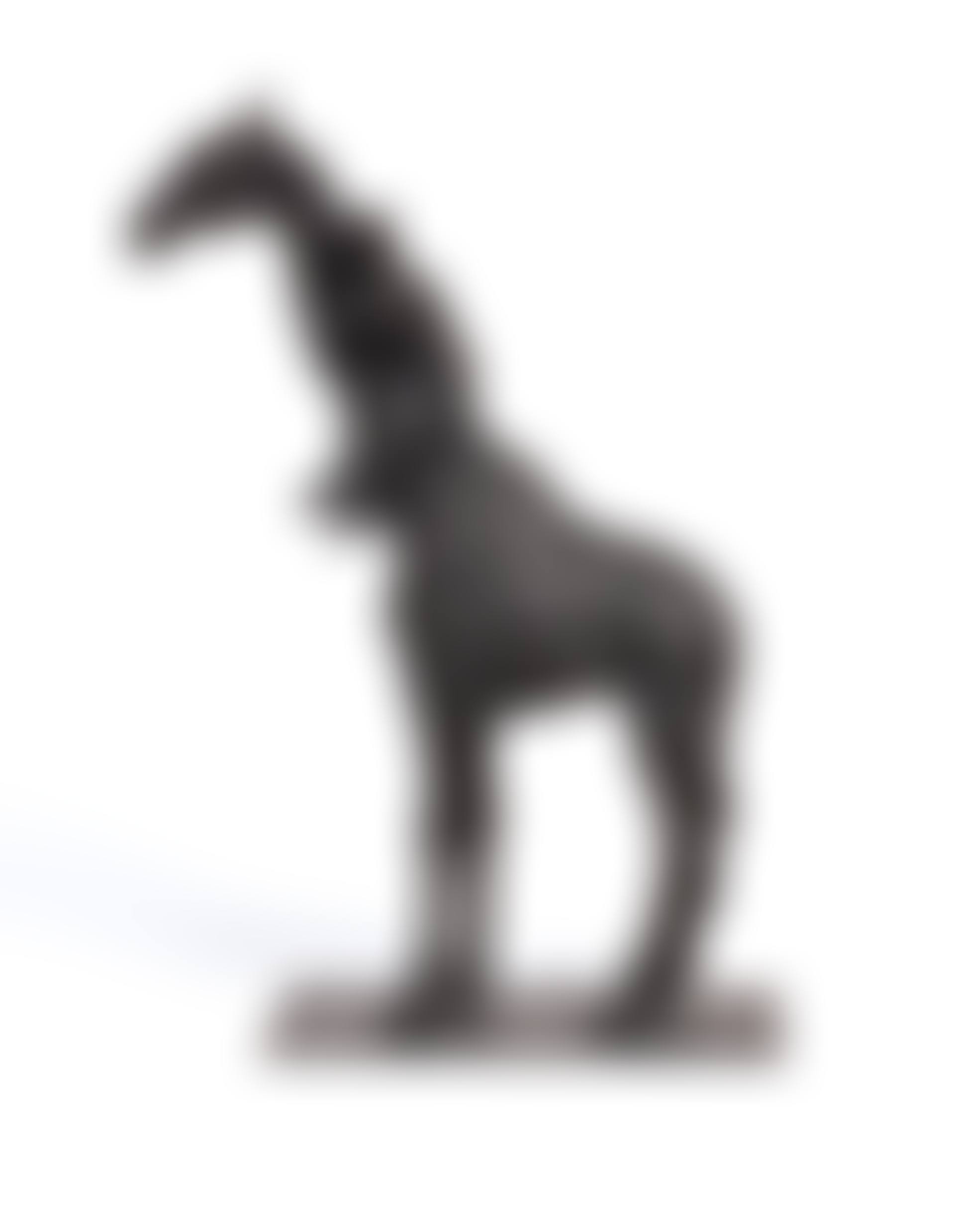 Giraffe und Mann (preview)