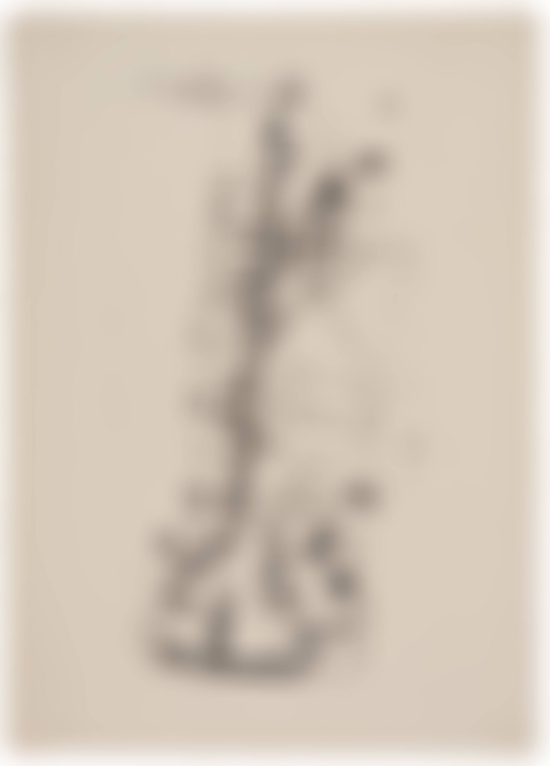 Vogelkomödie, from 25 Originailithographien der Münchener Neuen Secession (preview)