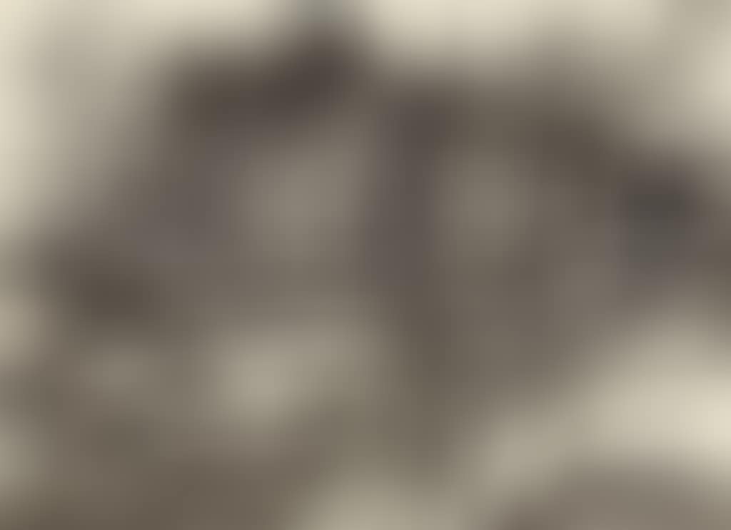 Untitled (Landscape with Houses and Trees) (preview)