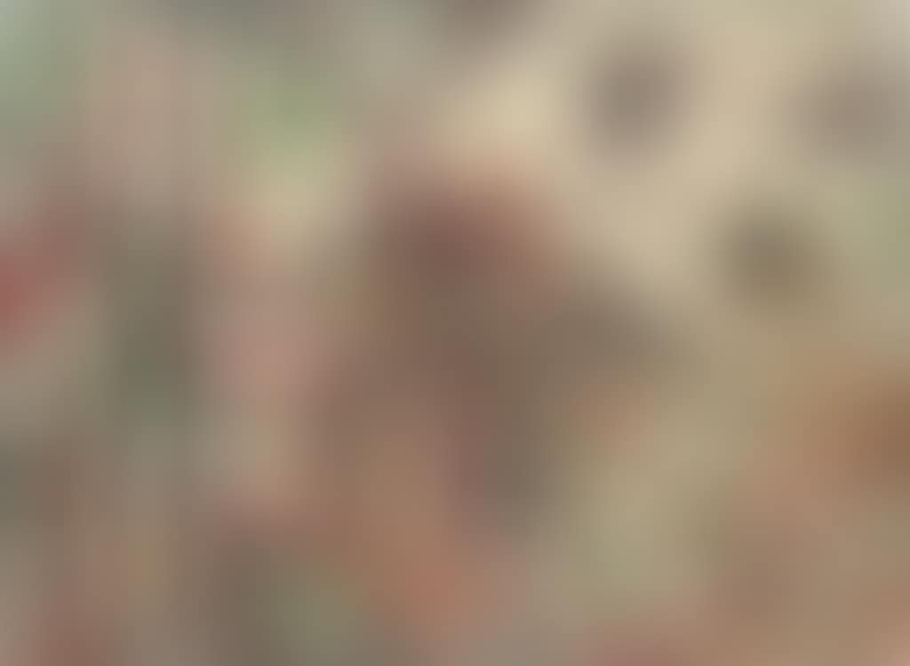 Landscape (preview)