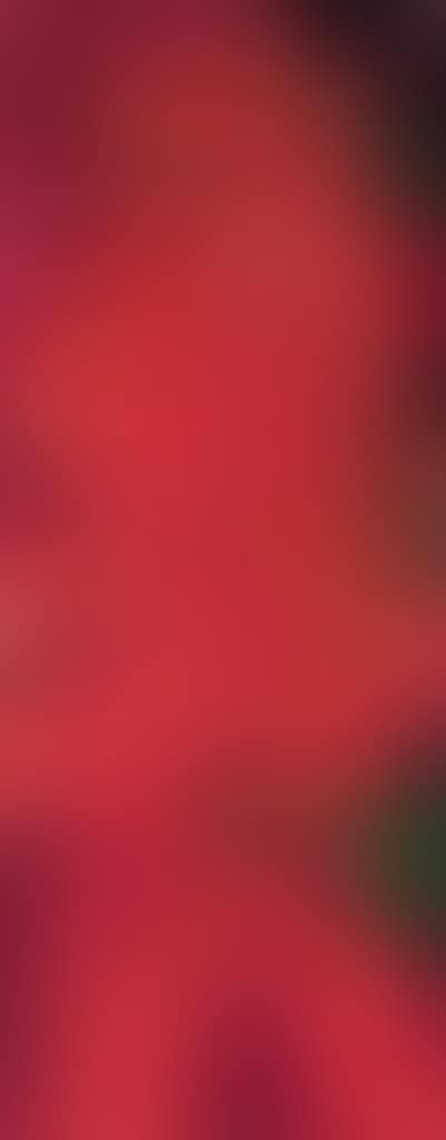 Red Goddess (preview)