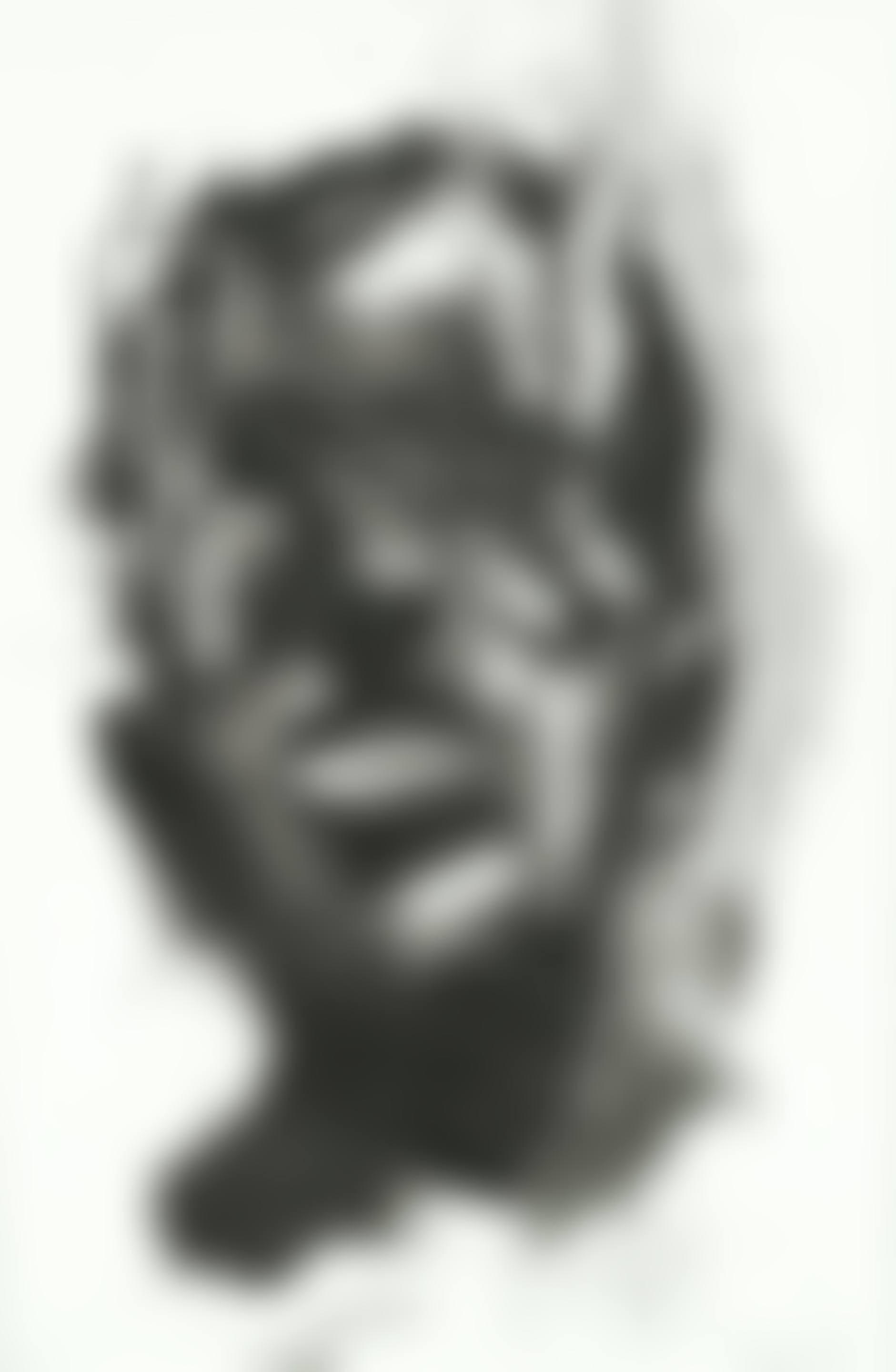 Head; Self Portrait (preview)