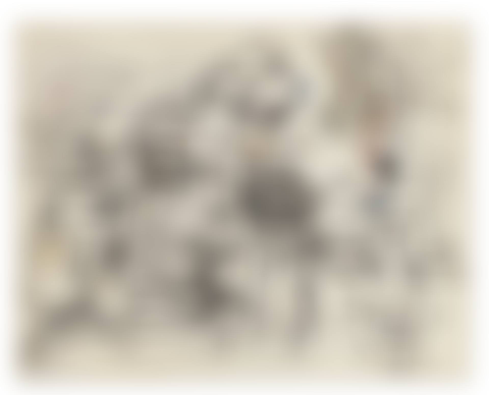 Untitled (The Horns of the Landscape) (preview)
