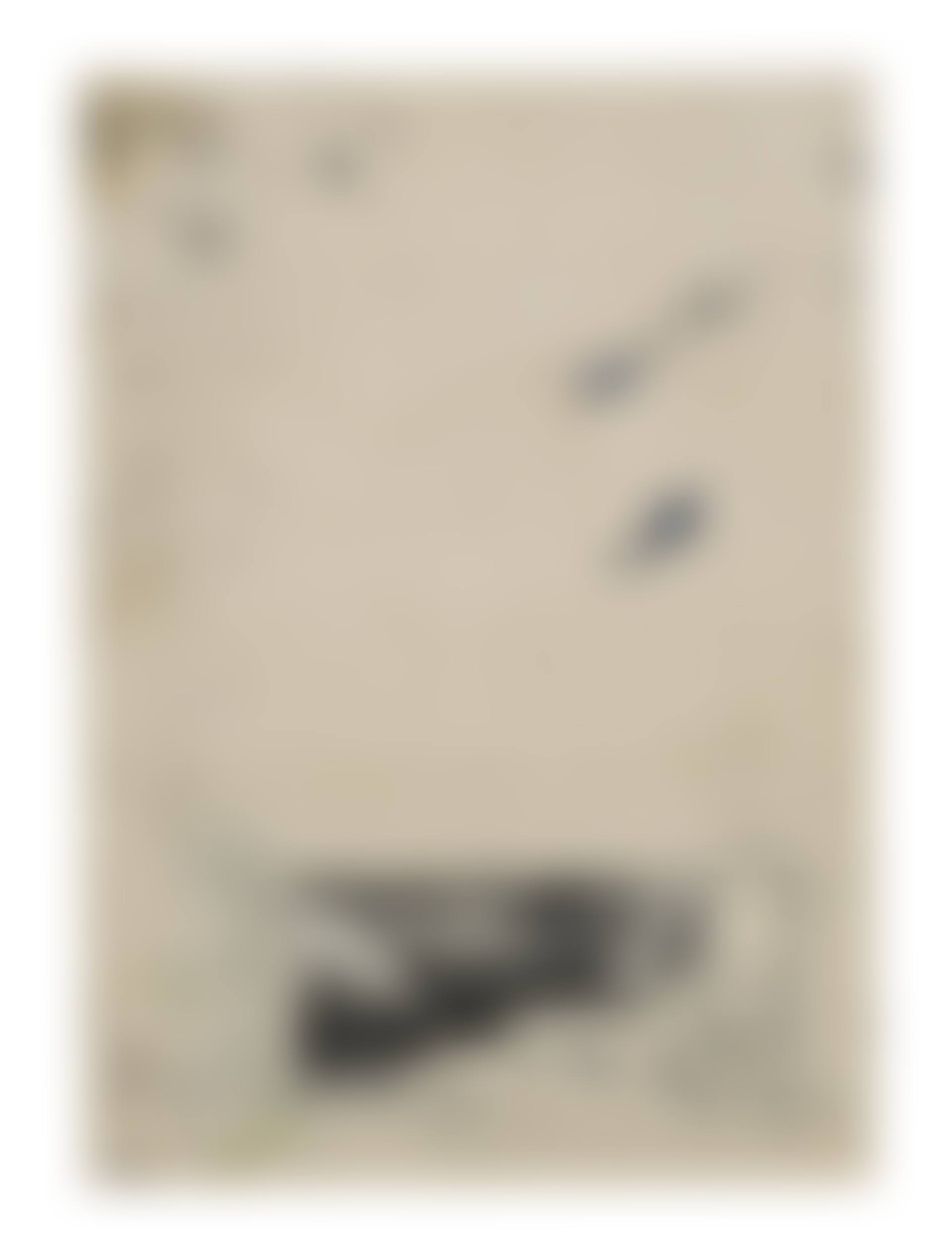 Untitled (Plan for Creamcheese) (preview)