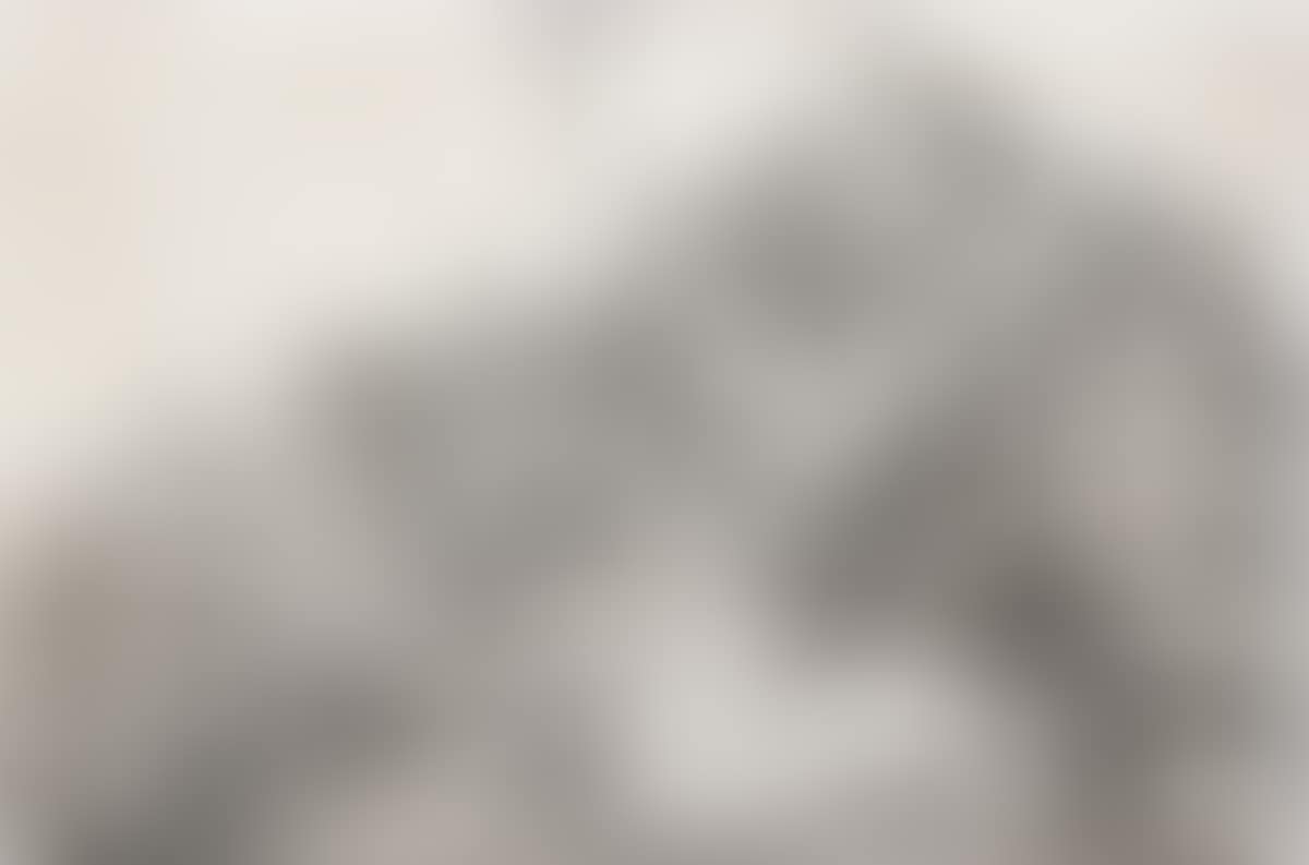 St. Anthony Reading (preview)