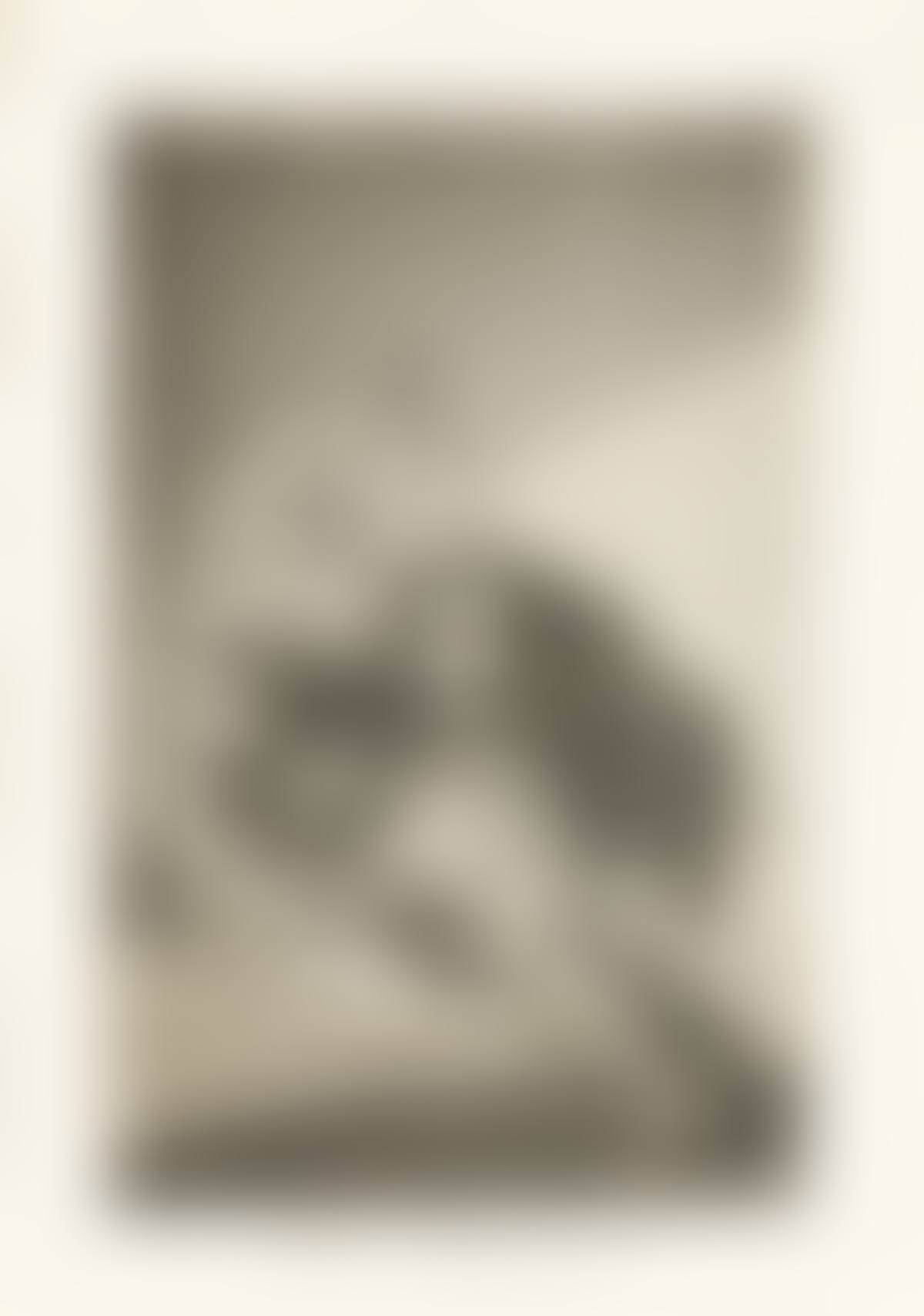 El Vergonzoso (preview)