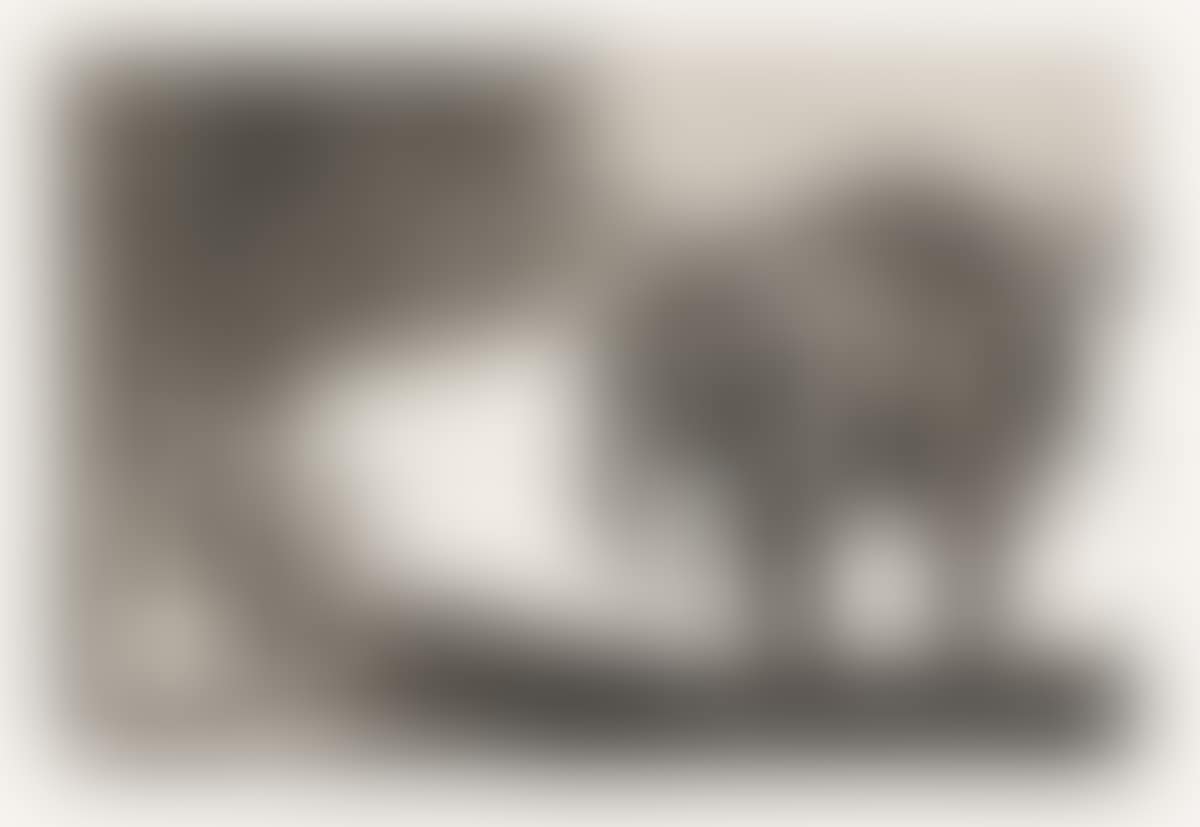 Quien se Pondrá el Cascabel al Gato? (preview)