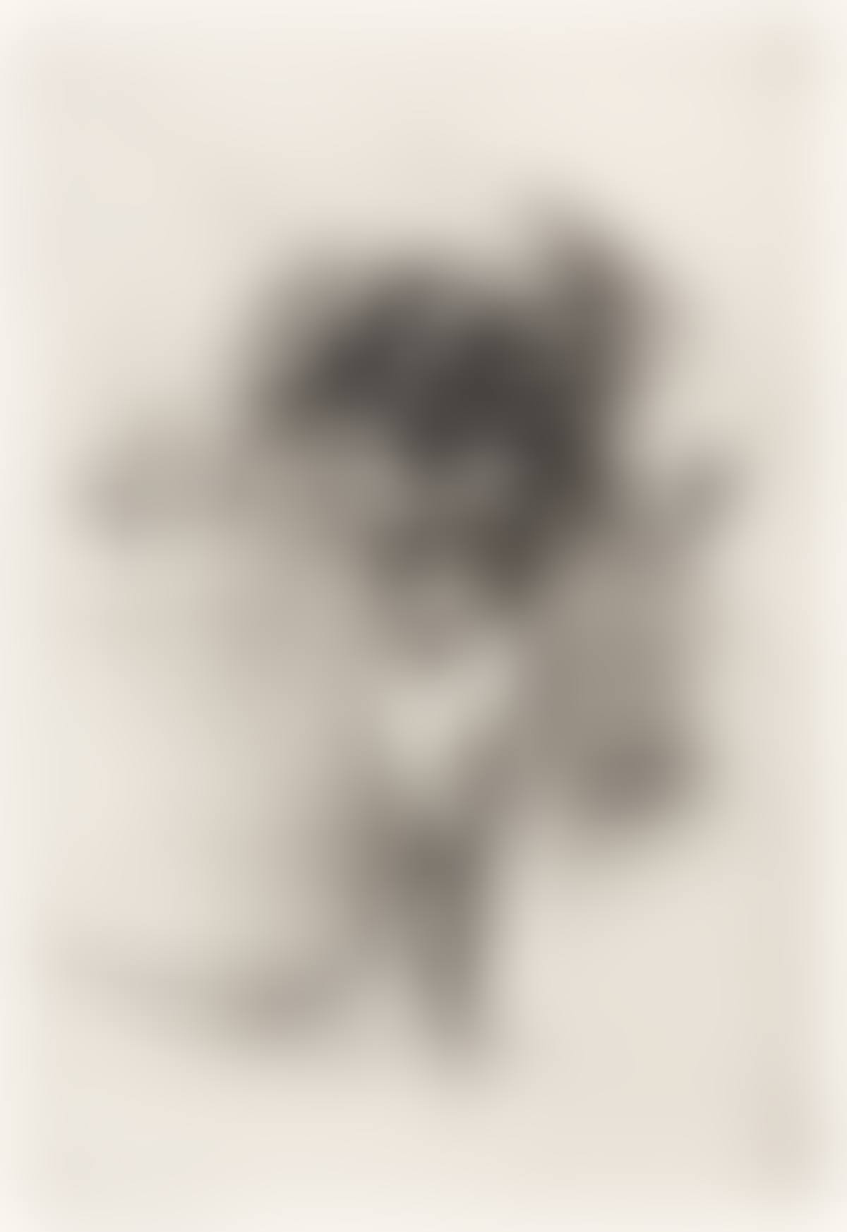 Le Printemps (preview)