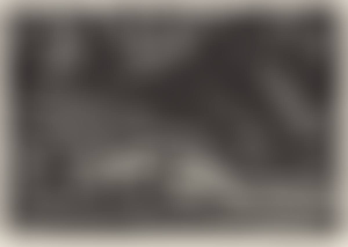 Forest Pool (preview)