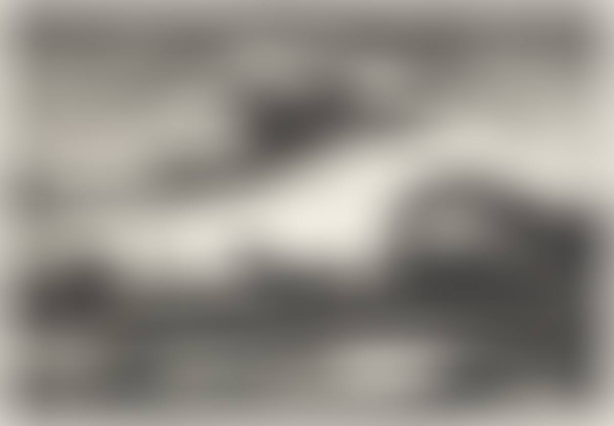 The Race (preview)