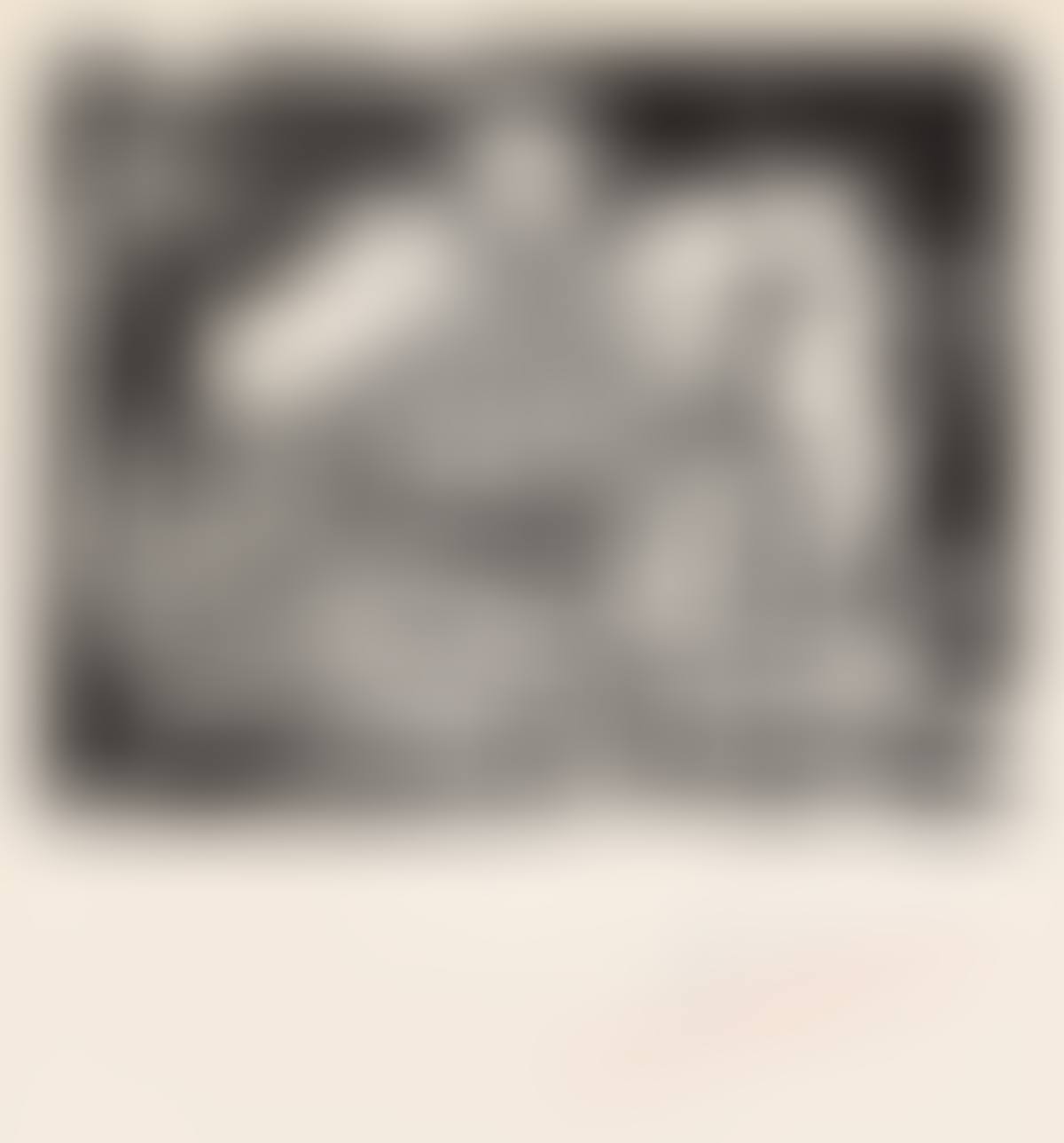 Le Pigeonneau (preview)