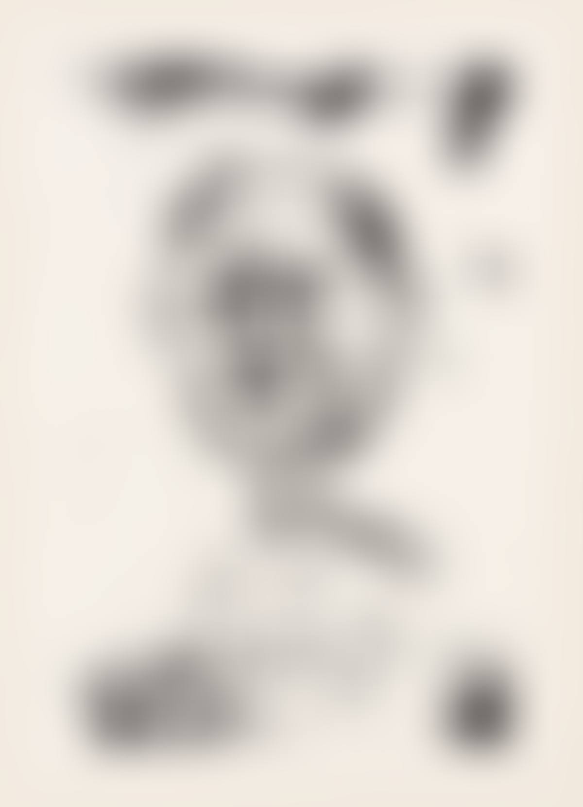 Kopf (preview)