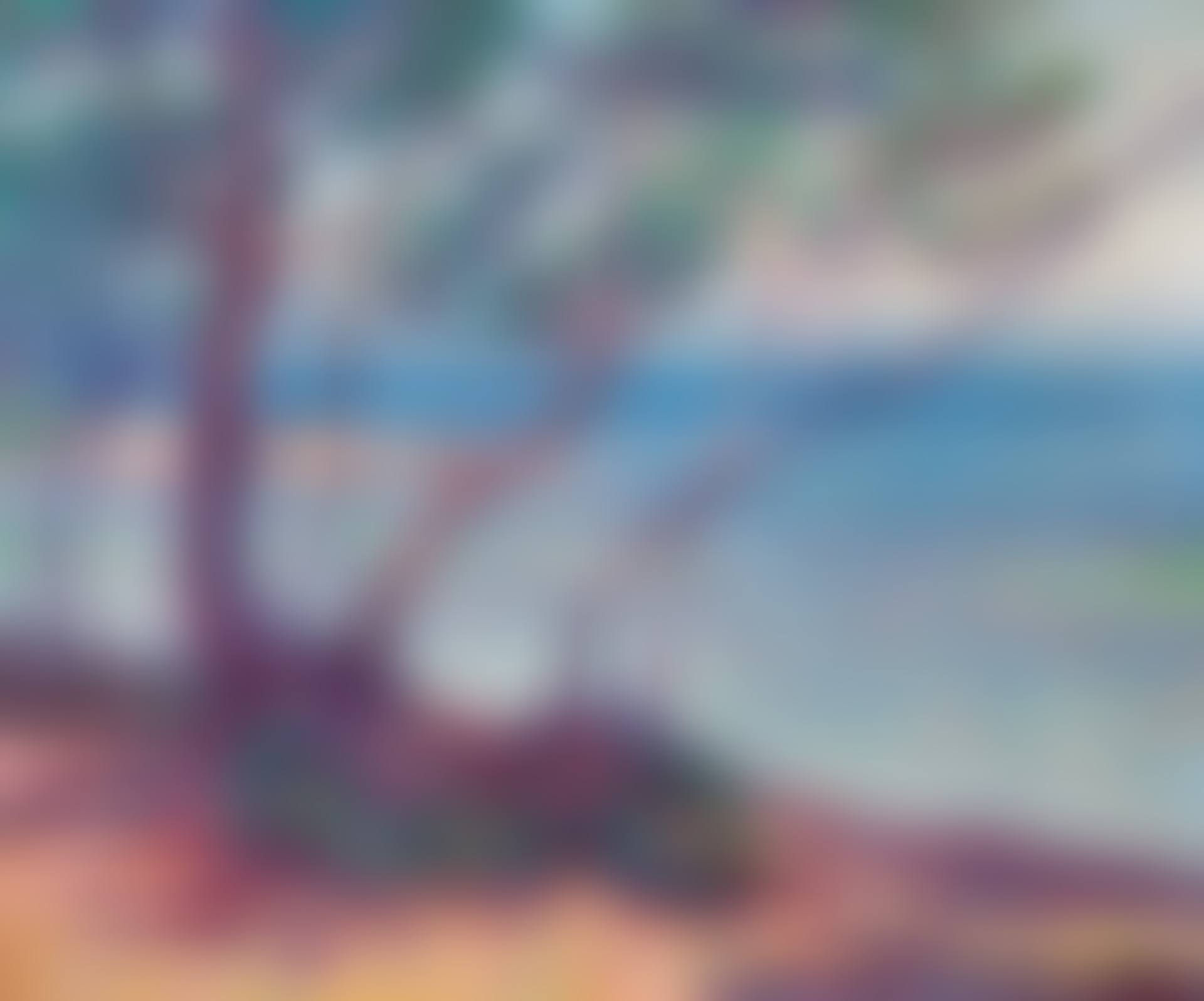Paysage (preview)