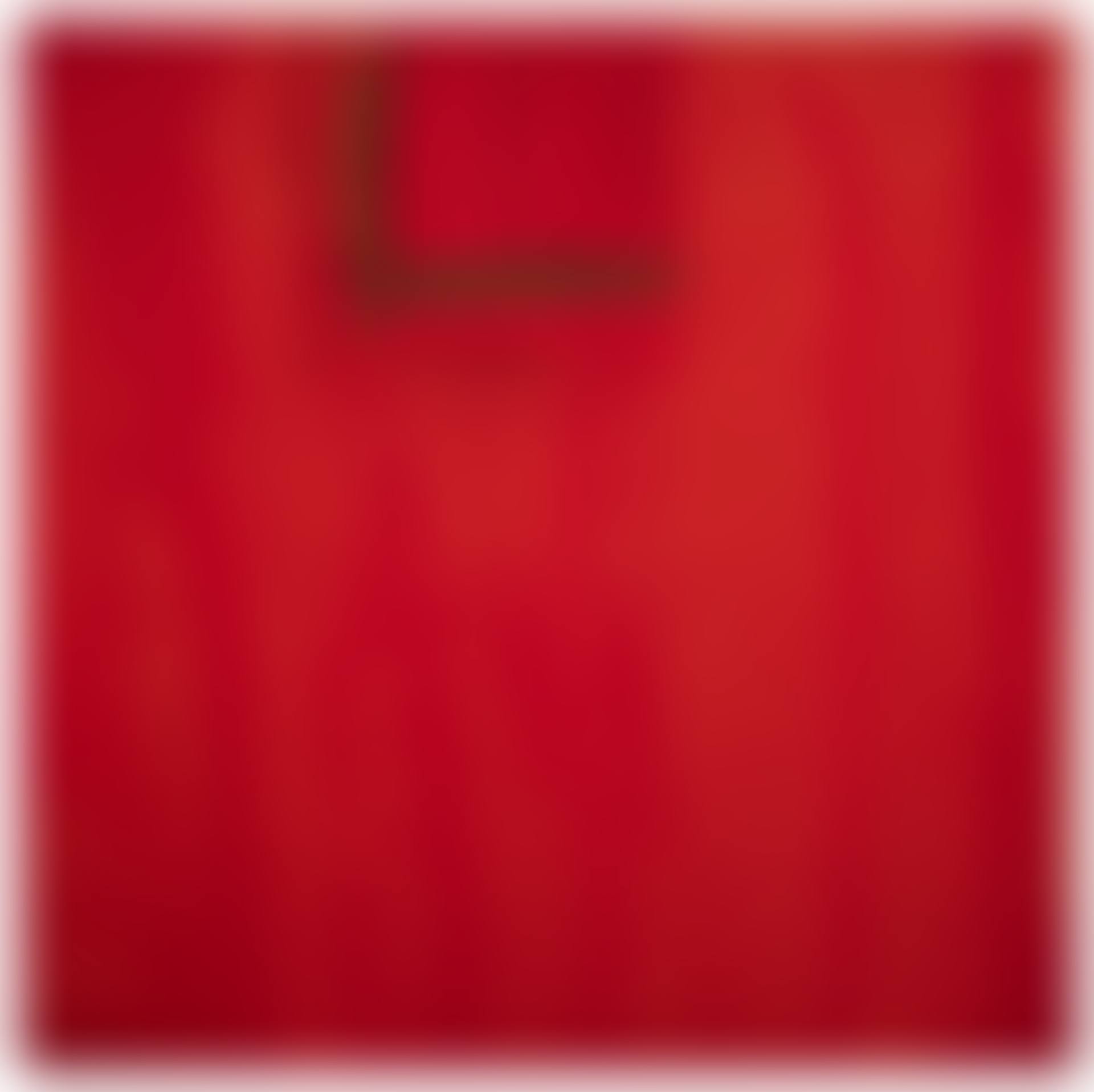 The Red Wall (preview)