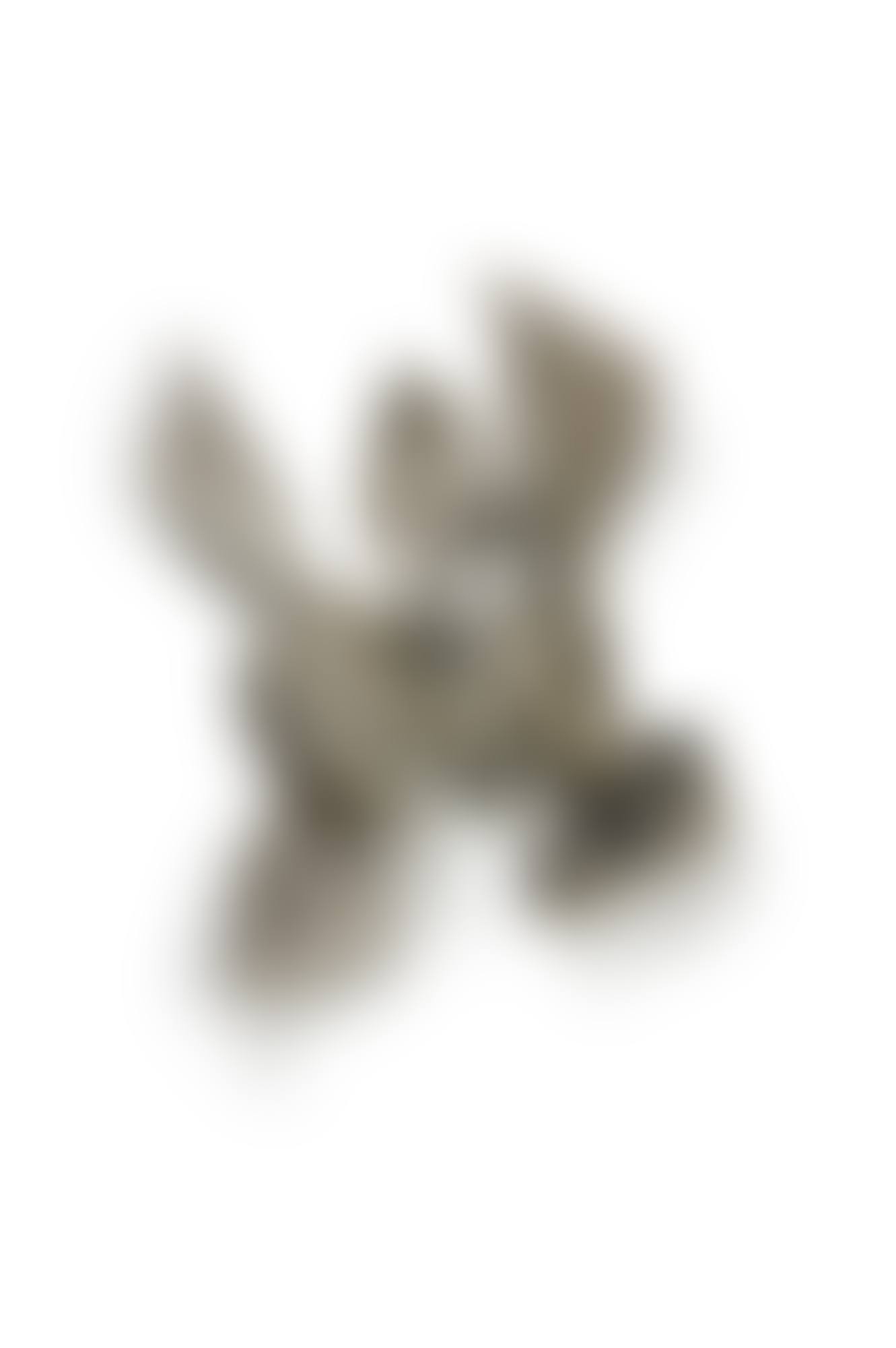 Mallard (preview)
