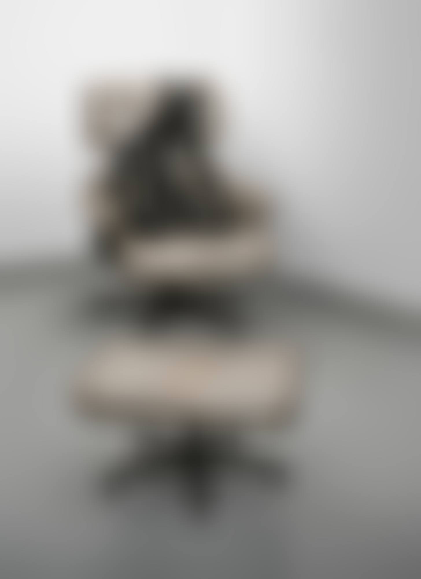 Tit Cat Eames Chair (preview)