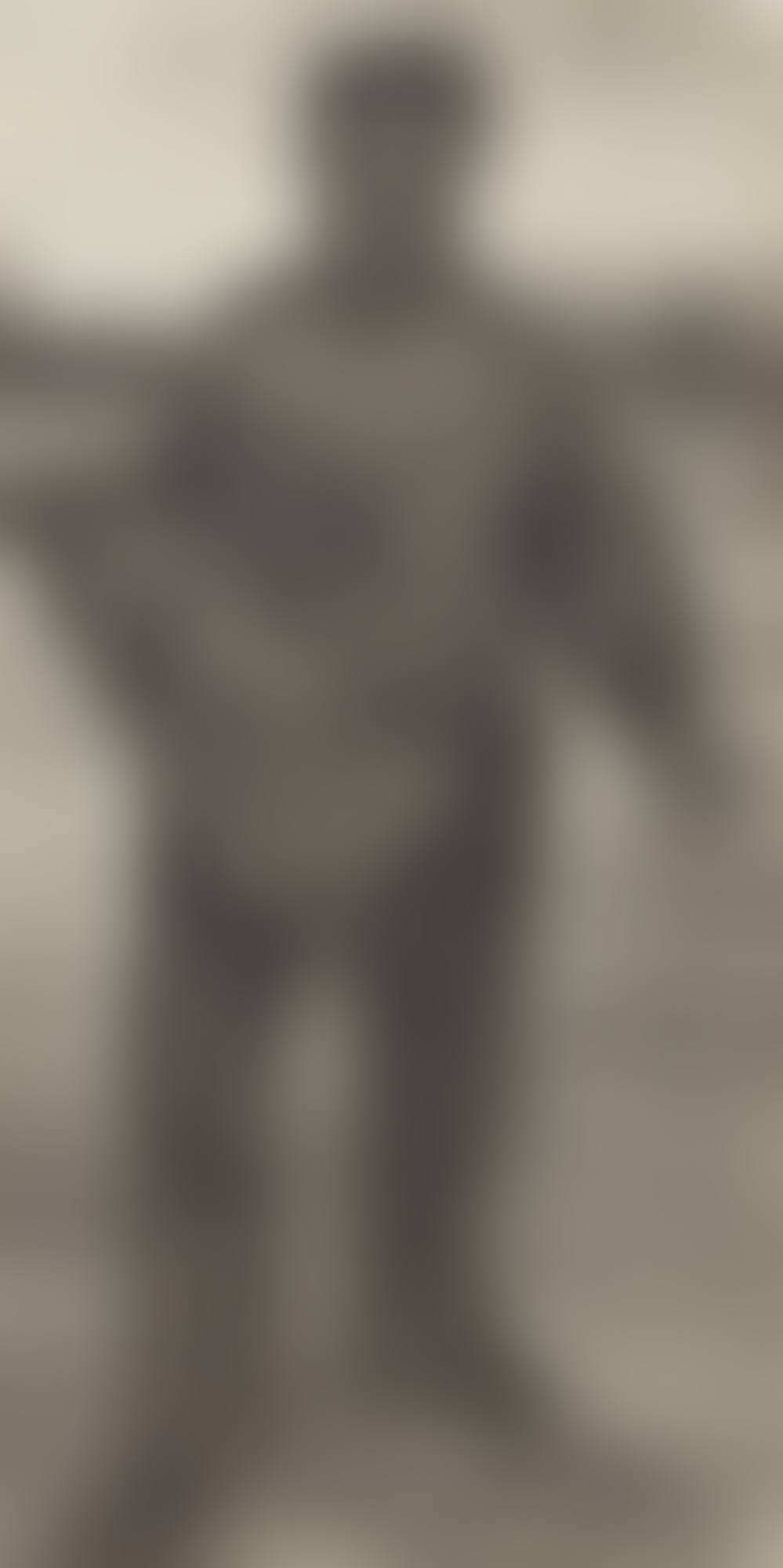 Sower (Front View) (preview)