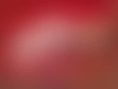 Odalisque couchee (preview)