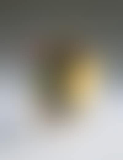 Untitled (preview)