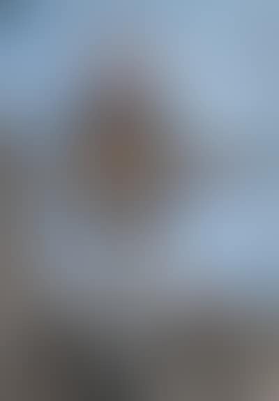 El guitarrista (preview)