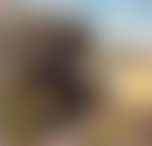 Village children (preview)