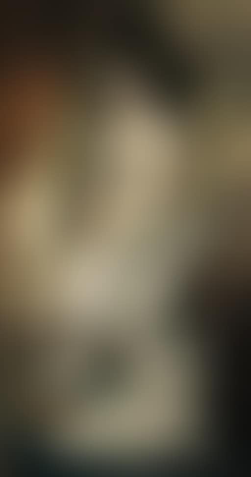 Elegant lady, possibly Baroness Teschenberg (preview)