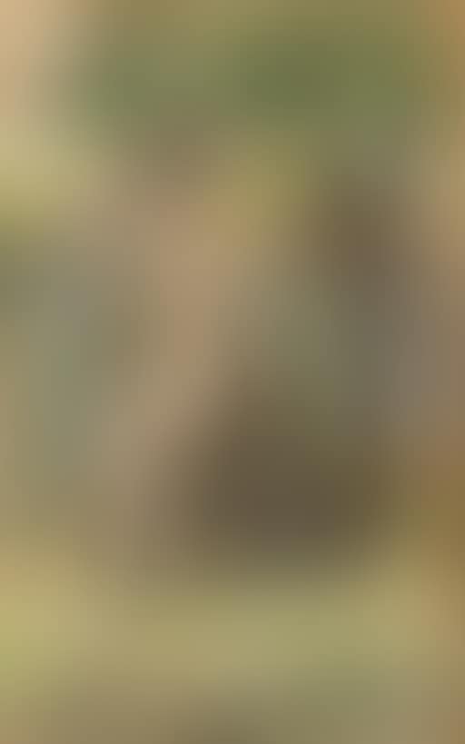 Nude woman seated on rock (preview)